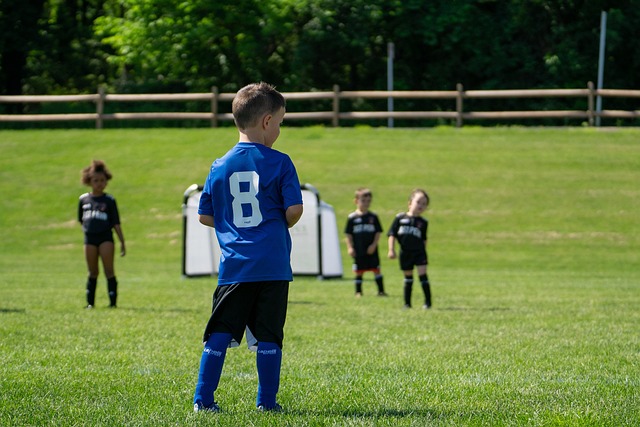 在职业生涯 在职业生涯