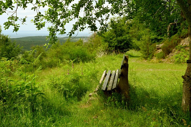 足球市場的 足球市場的