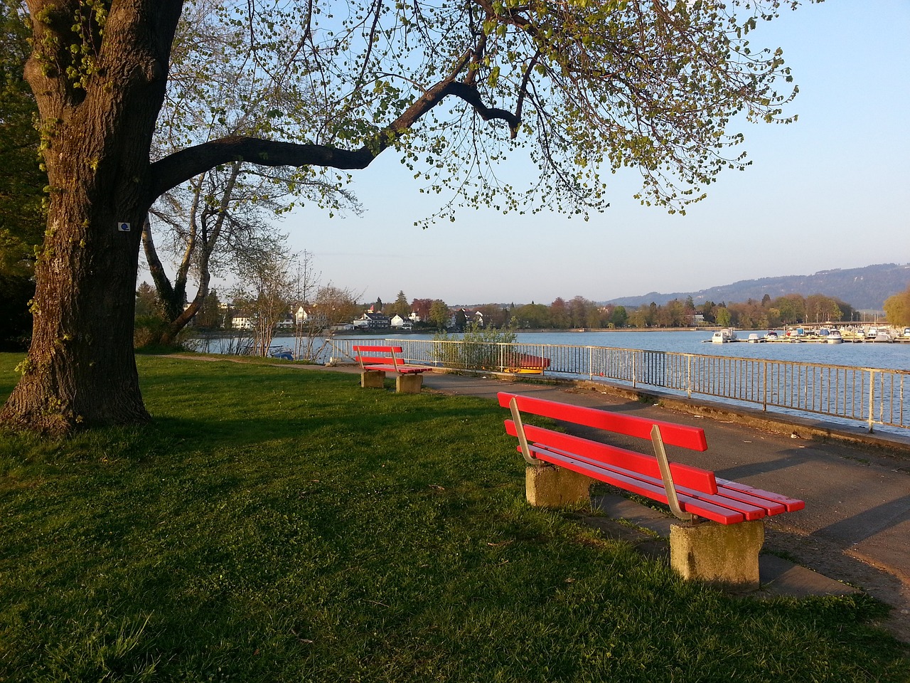 自然能夠獲 自然能夠獲