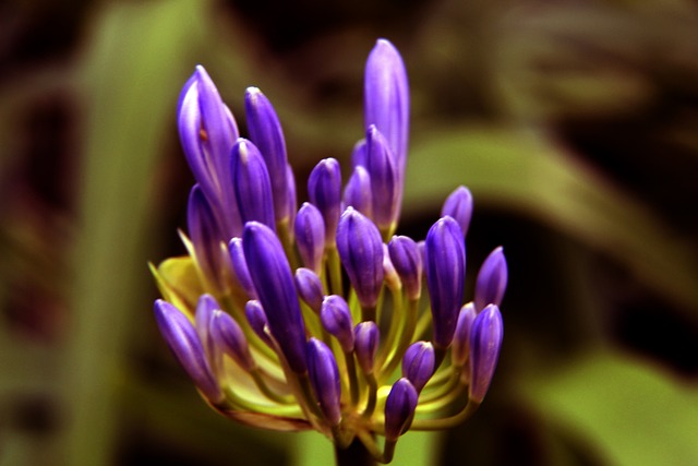 这种理念帮 这种理念帮