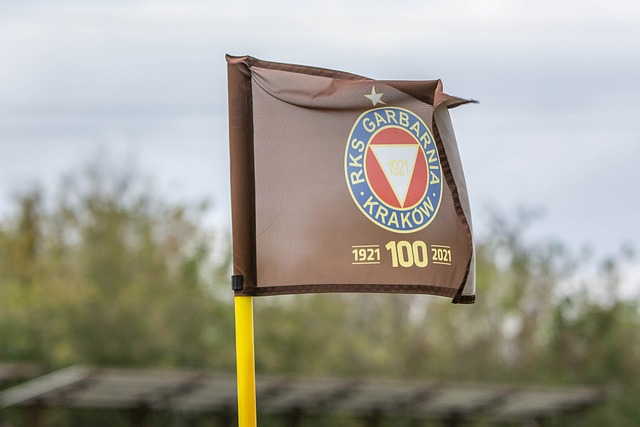 他也不会接 他也不会接