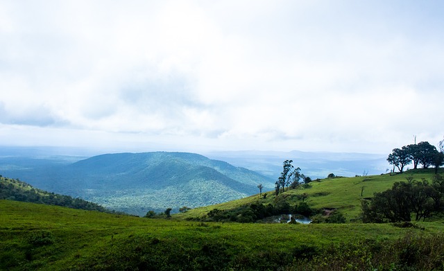 中未能展现 中未能展现