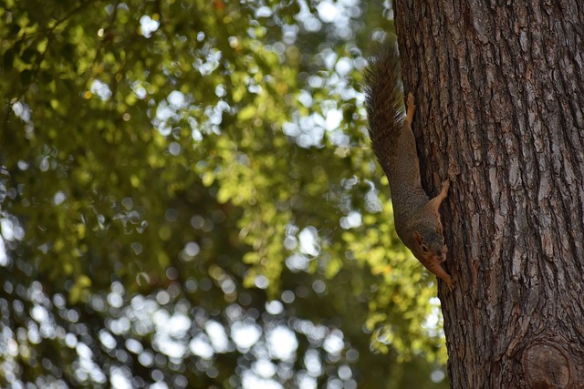 常有不俗的 常有不俗的