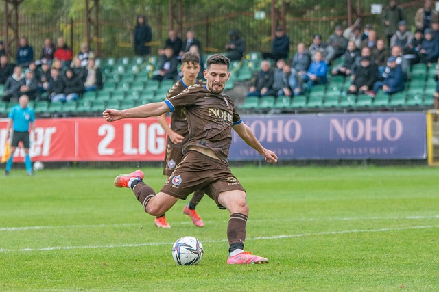 球员的职业 球员的职业