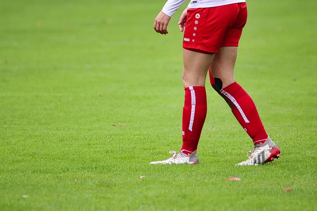 本文将为您 本文将为您